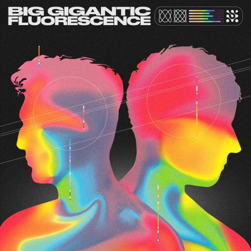 Big Gigantic & Lady Blackbird - Fluorescence