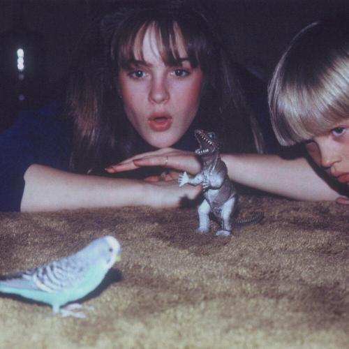 Big Thief - Little Arrow
