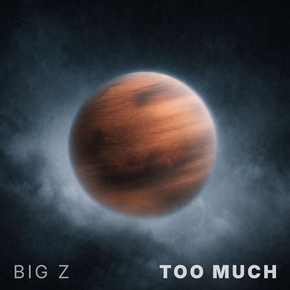 Big Z - Too Much