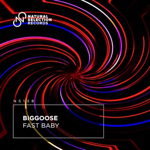 Biggoose - Fast Baby