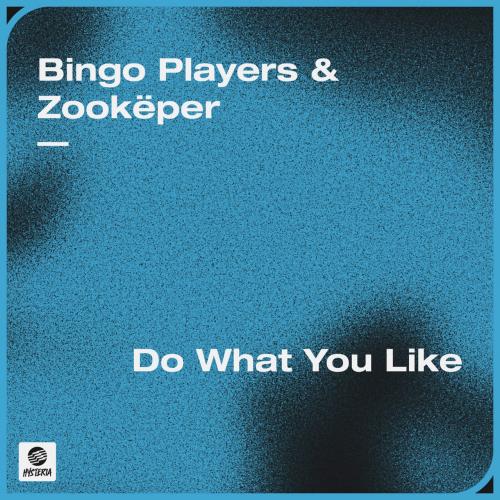 Do What You Like - Bingo Players & Zookper