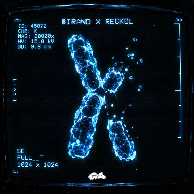 Kromozom - Birand & Reckol