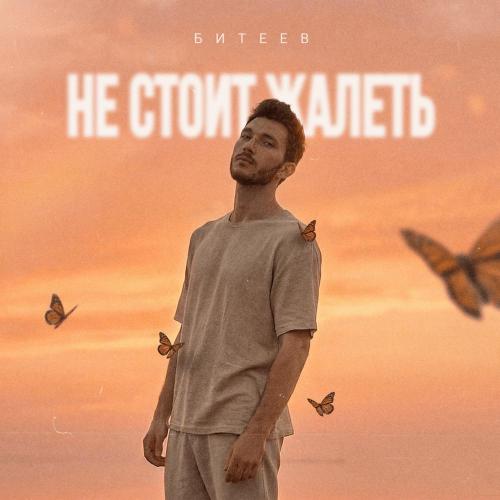 Битеев - Не стоит жалеть