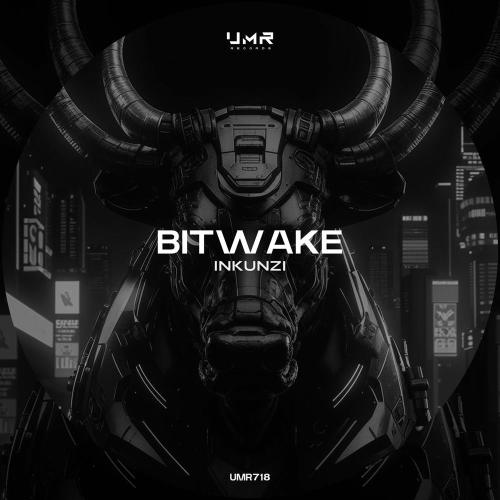 Bitwake - Inkunzi (Radio Edit)