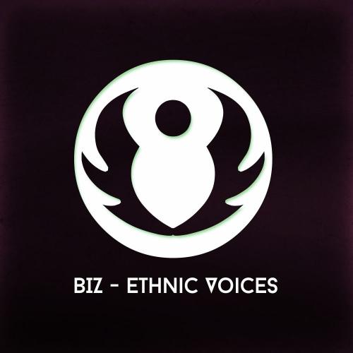 BIZ - Black Night (Original Mix)