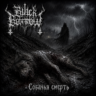 Black Borrow - Собаке - собачья смерть