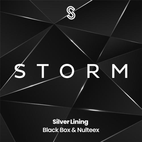 Black Box, Nulteex - Silver Lining