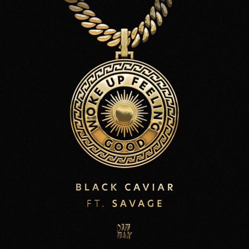 Black Caviar - Woke up Feeling Good (feat. Savage)