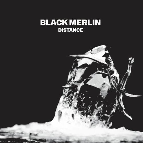 Black Merlin - Maiko