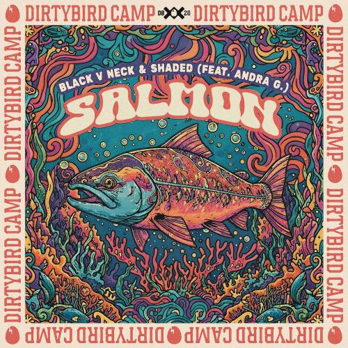 Black V Neck & Shaded feat. Andra G. - Salmon