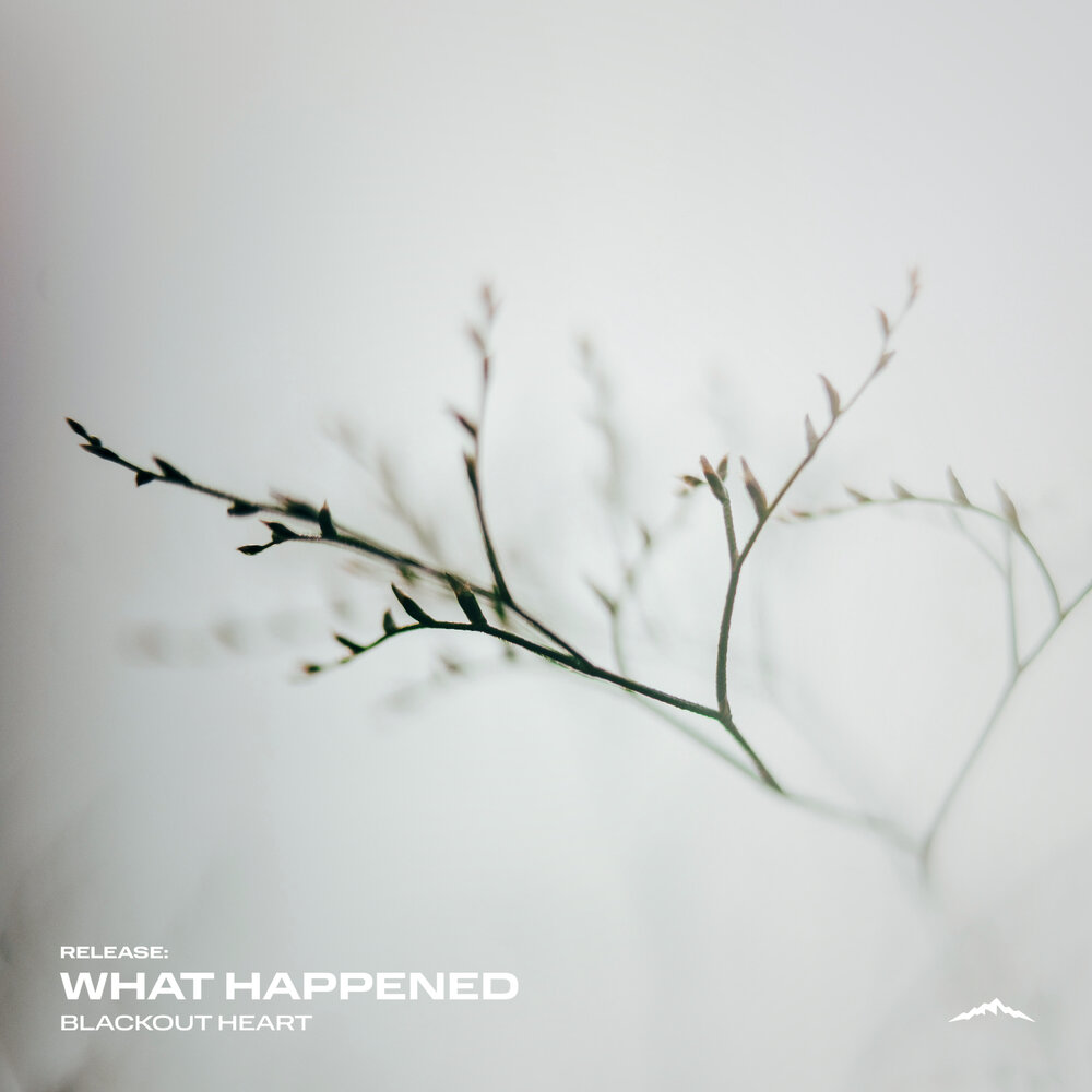What Happened - Blackout Heart