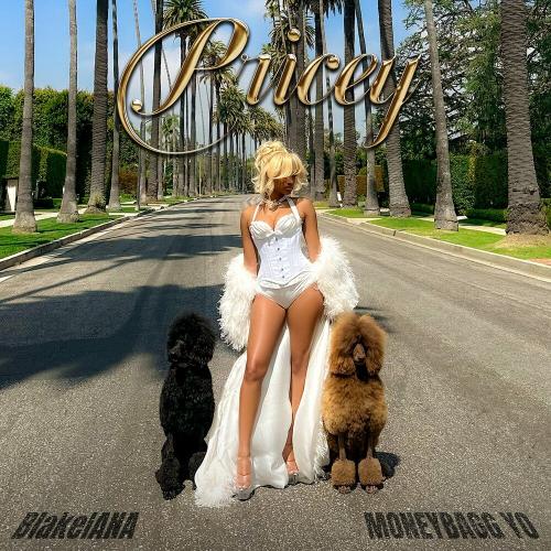 BlakeIANA feat. Moneybagg Yo - Pricey