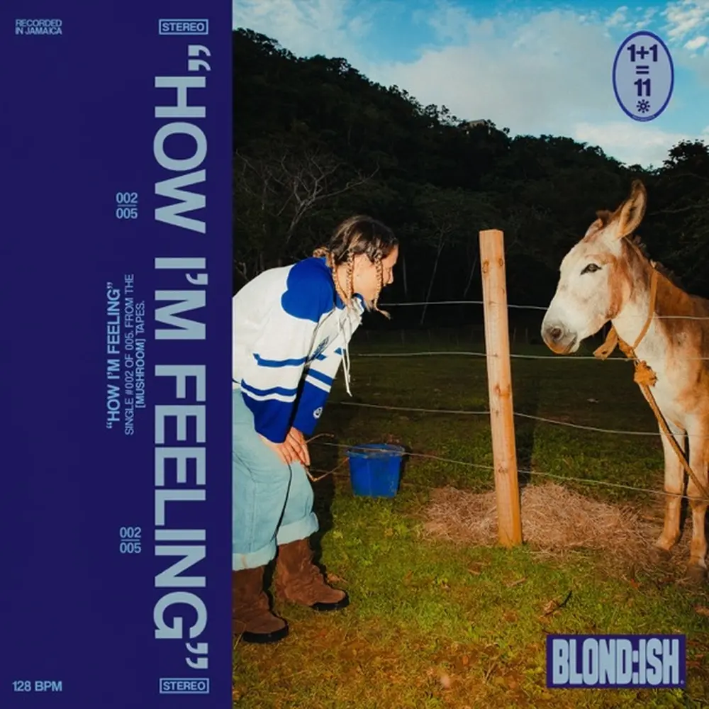 How I'm Feeling (Extended Mix) - BLOND_ISH