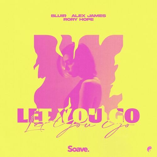 Bluir feat. Alex James & Rory Hope - Let You Go