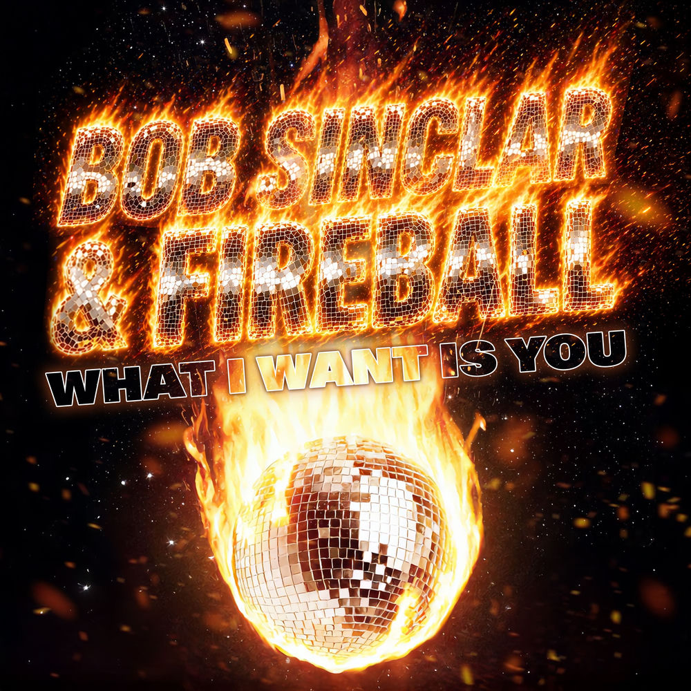 Bob Sinclar & Fireball - What I Want Is You