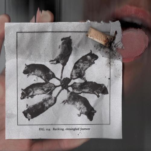 bodyimage - Ratking