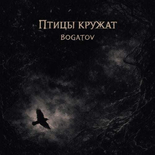 Bogatov - Птицы кружат
