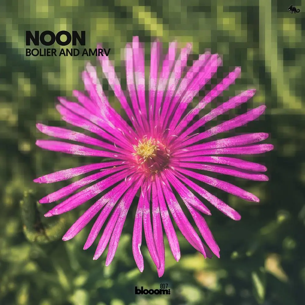 Noon - Bolier & AMRV