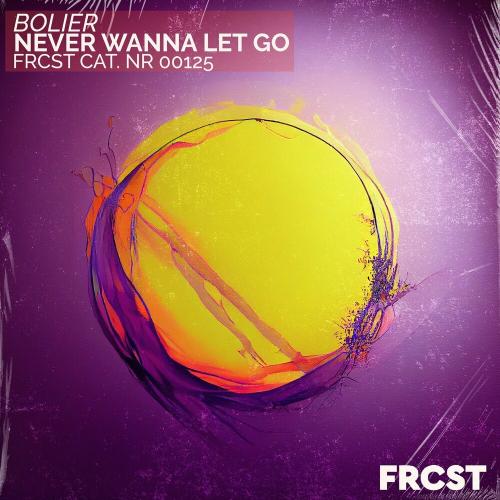 Never Wanna Let Go - Bolier
