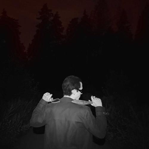boneyblaze - ТЮЛЬПАНЫ