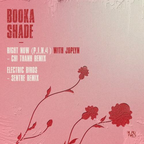 Booka Shade & Joplyn - Right Now (P.i.n. 4) (Chi Thanh Remix)