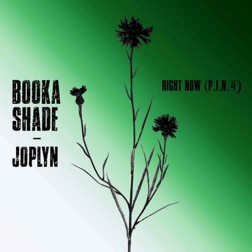 Booka Shade & Joplyn - Right Now (P.i.n. 4)