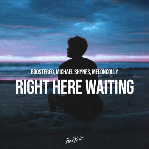 Boostereo feat. Michael Shynes & Meloncolly - Right Here Waiting
