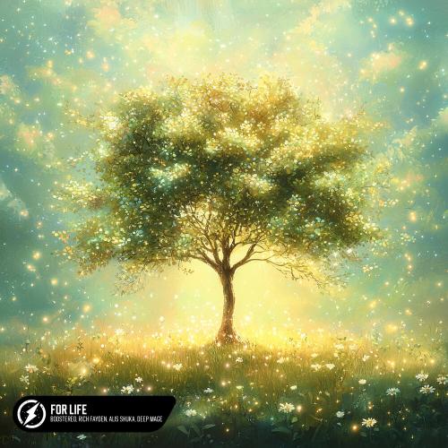 Boostereo, Rich Fayden, Alis Shuka, Deep Mage - For Life