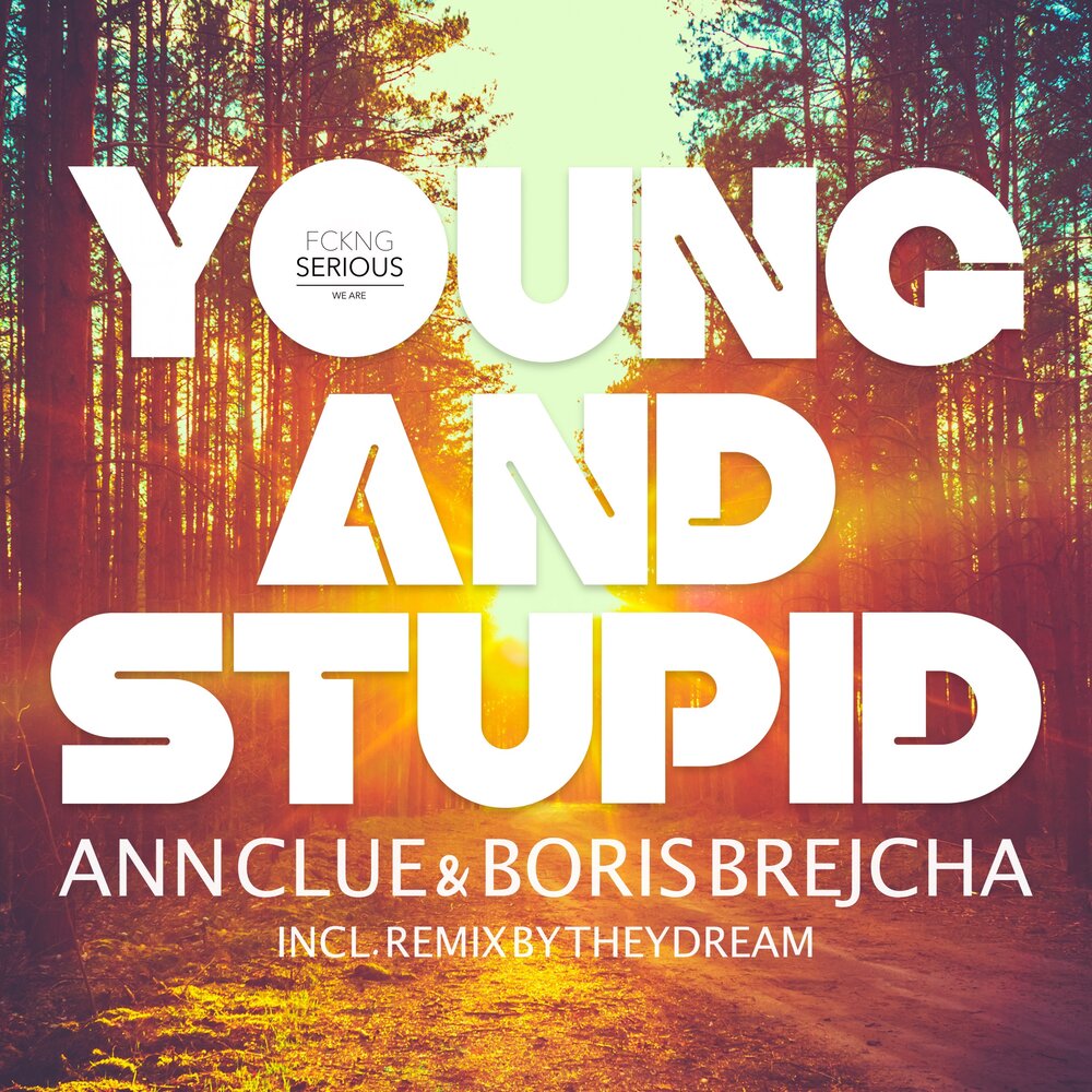 Young And Stupid (Theydream Remix) - Boris Brejcha, Ann Clue