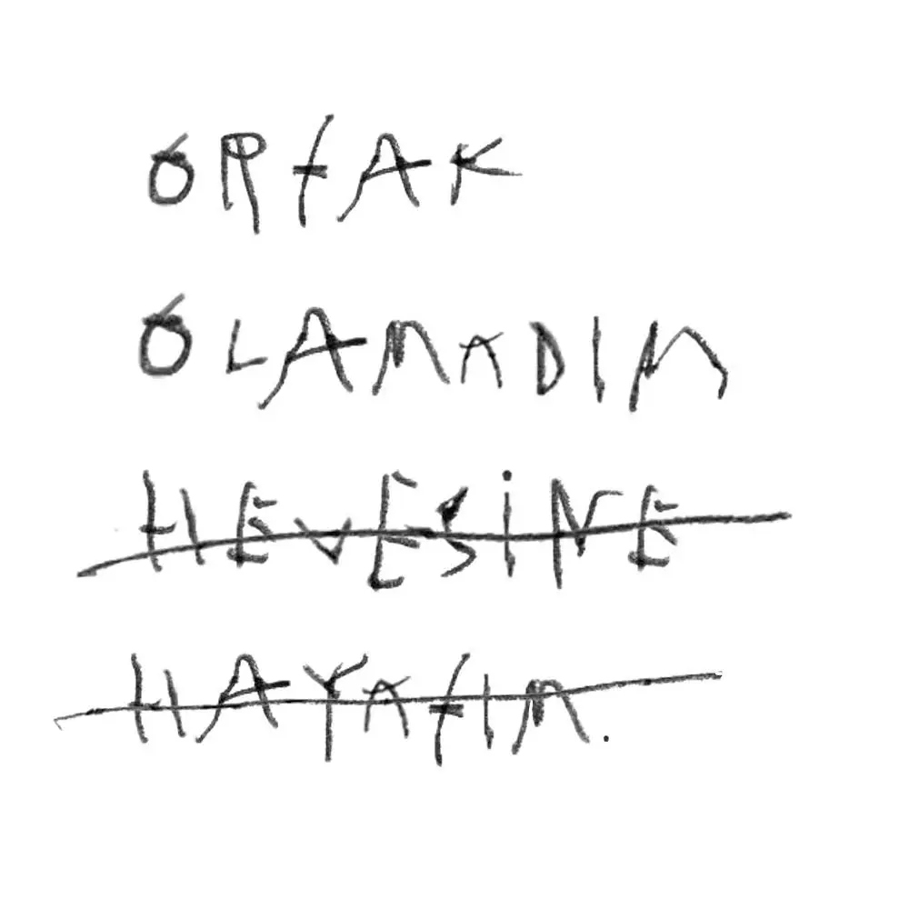 ortak olamadım hevesine - Borqy