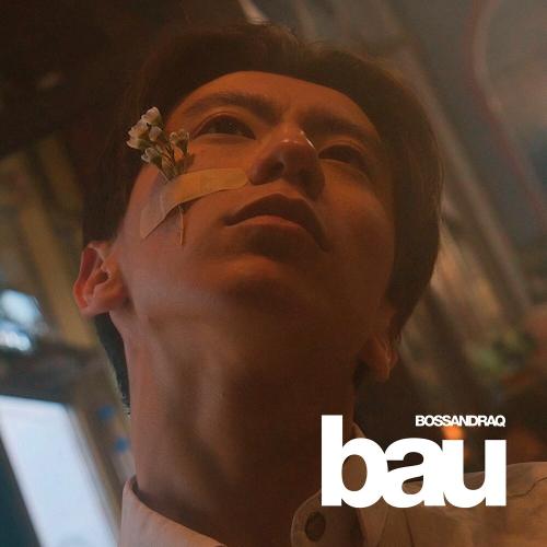 BOSSANDRAQ - bau