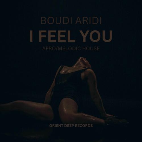 Boudi Aridi - I Feel You (Afro_melodic House)