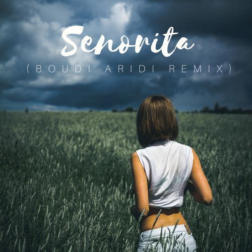 Boudi Aridi - Senorita (Boudi Aridi Cover Remix)
