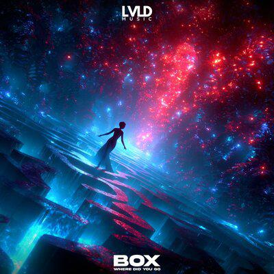 Where Did You Go - Box
