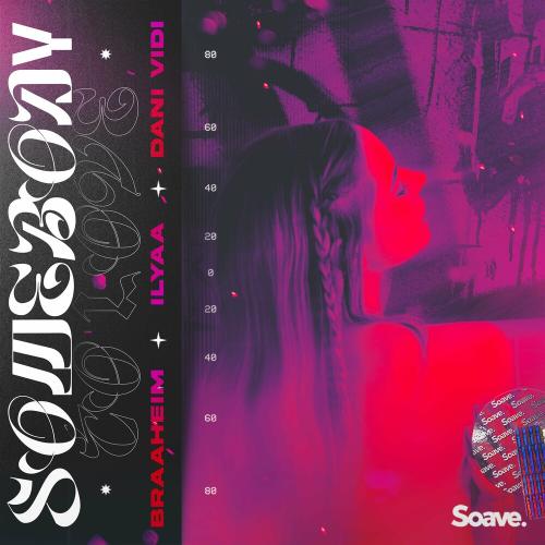 Braaheim feat. ILYAA & Dani Vidi - Somebody To Love