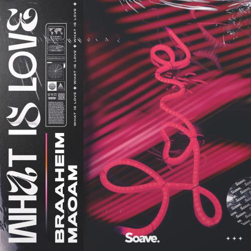 What Is Love - Braaheim feat. Maoam