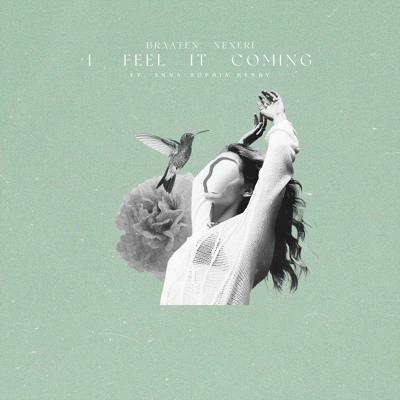Braaten, Nexeri feat. Anna-Sophia Henry - I Feel It Coming