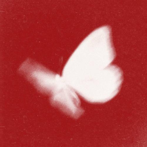 bradeazy & Crazy Town - Butterfly 2026