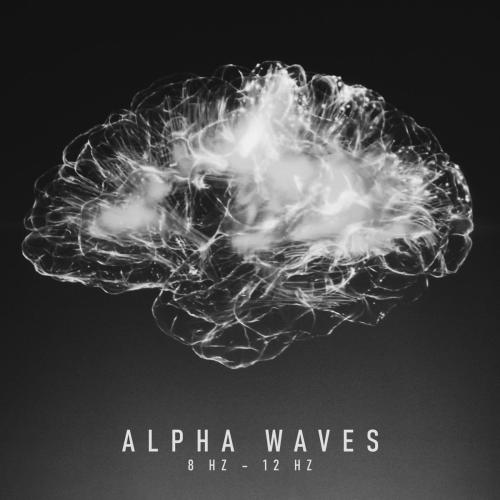 Brain Waves Therapy - Connection with Root Chakra 8 Hz (feat. Chakra Frequencies)