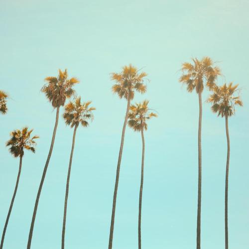 California Dreaming (Sped Up) - BRAN & Besomage