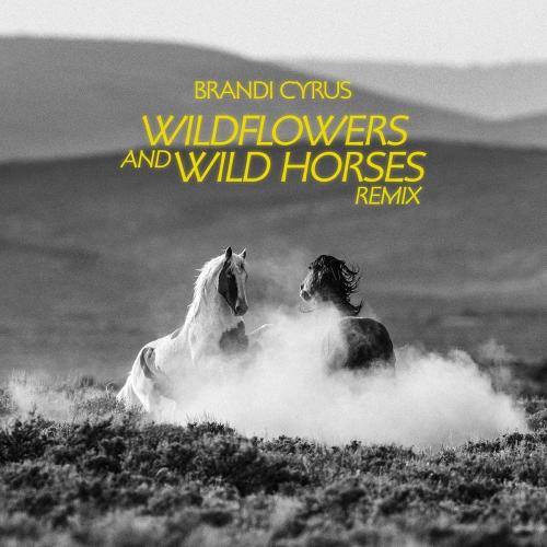 Brandi Cyrus feat. Lainey Wilson - Wildflowers and Wild Horses (Remix)