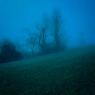 past - branwen