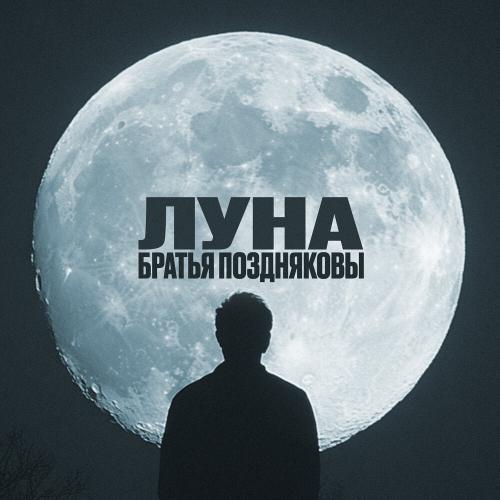 Братья Поздняковы, Ludwig van Beethoven - Луна