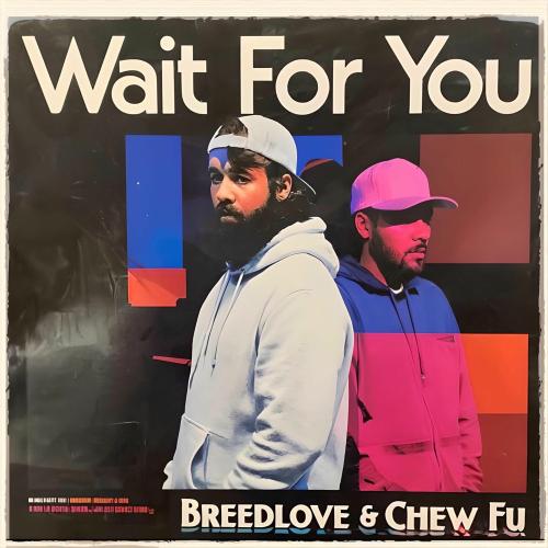 Breedlove & Chew Fu - Wait For You