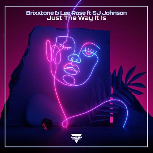 Just the Way It Is (feat. SJ Johnson) - Brixxtone & Lee Rose