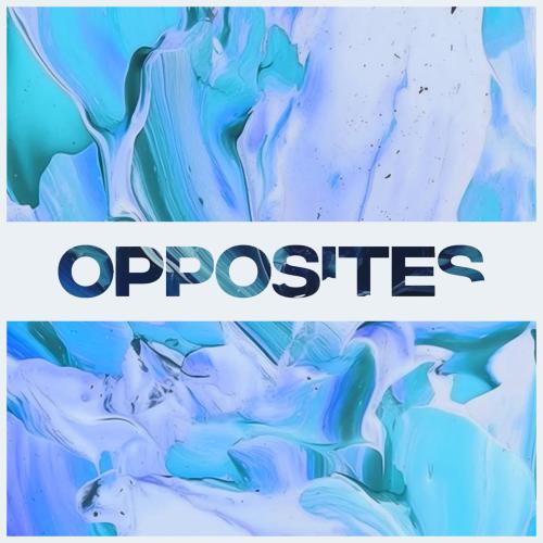 Bronze Whale - Opposites