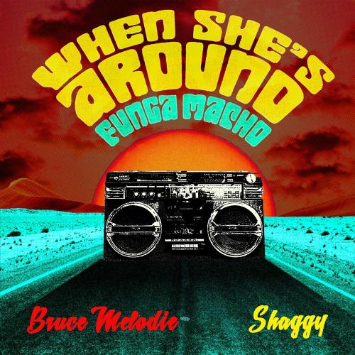 Bruce Melodie feat. Shaggy - When She Is Around (Funga Macho)