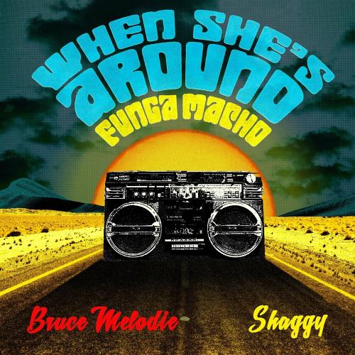 Bruce Melodie feat. Shaggy - When Shes Around (Funga Macho) (Micfreak Club Mix)