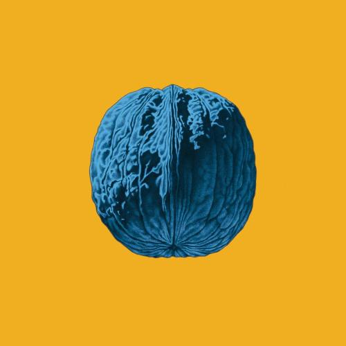 Brunori Sas - L'albero delle noci