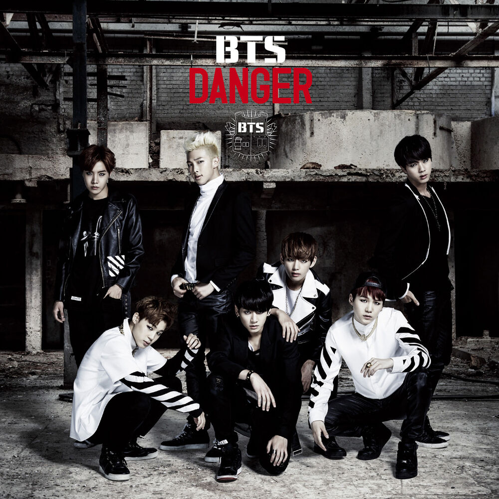 Shingeki No Boudan (Sonpub Remix) - BTS